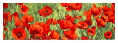 Poppy Field (detail)-Silvia Mei-Art Print