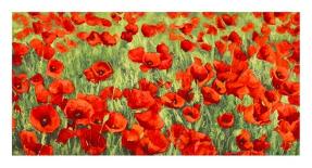 Poppy Field (detail)-Silvia Mei-Art Print