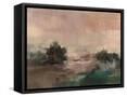 Framed Canvas