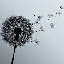 Just the Print