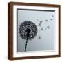 Brown Frame