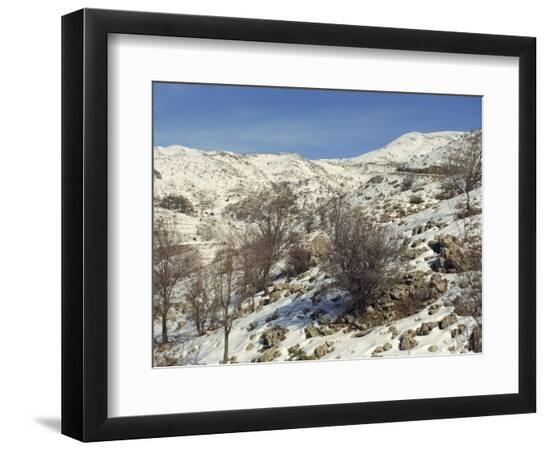 Premium Photographic Print, , large