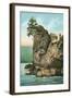 Simash Rock, Stanley Park, British Columbia-null-Framed Art Print