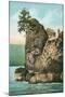 Simash Rock, Stanley Park, British Columbia-null-Mounted Art Print