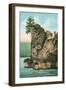 Simash Rock, Stanley Park, British Columbia-null-Framed Art Print