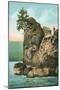 Simash Rock, Stanley Park, British Columbia-null-Mounted Art Print