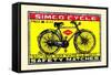 Simco Cycle-null-Framed Stretched Canvas