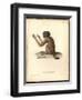 Simia Melanocephala-Friedrich Alexander Humboldt-Framed Giclee Print