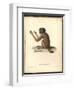 Simia Melanocephala-Friedrich Alexander Humboldt-Framed Giclee Print