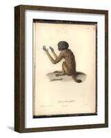 Simia Melanocephala-Friedrich Alexander Humboldt-Framed Giclee Print