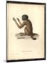 Simia Melanocephala-Friedrich Alexander Humboldt-Mounted Giclee Print
