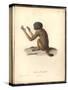 Simia Melanocephala-Friedrich Alexander Humboldt-Stretched Canvas