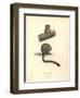 Simia Trivirgata-Friedrich Alexander Humboldt-Framed Giclee Print