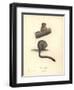 Simia Trivirgata-Friedrich Alexander Humboldt-Framed Giclee Print