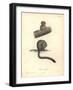 Simia Trivirgata-Friedrich Alexander Humboldt-Framed Giclee Print