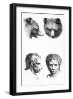 Similarities Between the Head of a Bear and a Man-Charles Le Brun-Framed Giclee Print