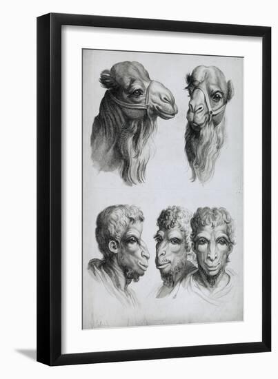 Similarities Between the Head of a Camel and a Man-Charles Le Brun-Framed Giclee Print