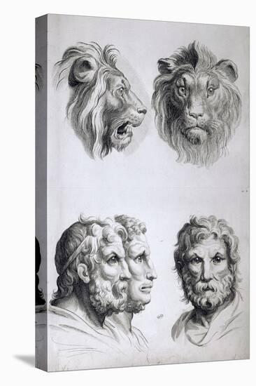 Similarities Between the Head of a Lion and a Man-Charles Le Brun-Stretched Canvas