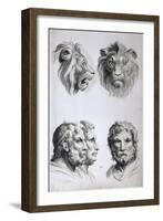 Similarities Between the Head of a Lion and a Man-Charles Le Brun-Framed Giclee Print