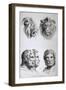 Similarities Between the Head of a Lion and a Man-Charles Le Brun-Framed Giclee Print