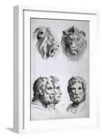 Similarities Between the Head of a Lion and a Man-Charles Le Brun-Framed Giclee Print