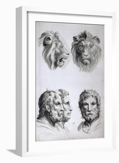 Similarities Between the Head of a Lion and a Man-Charles Le Brun-Framed Giclee Print