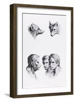 Similarities Between the Head of a Wolf and a Man-Charles Le Brun-Framed Giclee Print