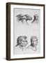 Similarities Between the Head of an Eagle and a Man-Charles Le Brun-Framed Giclee Print