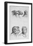 Similarities Between the Head of an Eagle and a Man-Charles Le Brun-Framed Giclee Print