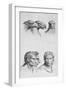 Similarities Between the Head of an Eagle and a Man-Charles Le Brun-Framed Giclee Print