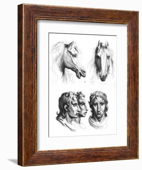 Similarities Between the Heads of a Horse and a Man-Charles Le Brun-Framed Giclee Print