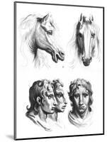 Similarities Between the Heads of a Horse and a Man-Charles Le Brun-Mounted Giclee Print