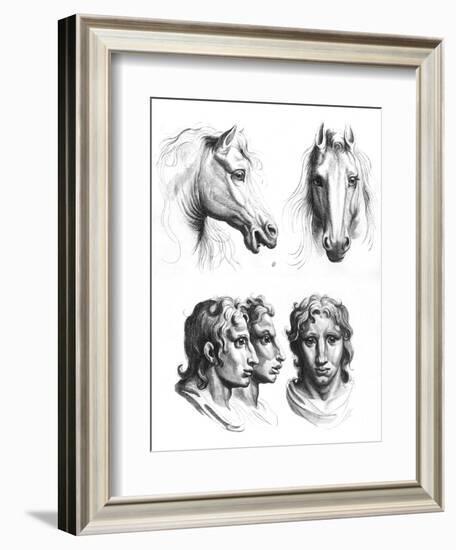 Similarities Between the Heads of a Horse and a Man-Charles Le Brun-Framed Giclee Print