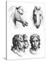 Similarities Between the Heads of a Horse and a Man-Charles Le Brun-Stretched Canvas