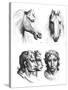 Similarities Between the Heads of a Horse and a Man-Charles Le Brun-Stretched Canvas