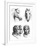 Similarities Between the Heads of a Horse and a Man-Charles Le Brun-Framed Giclee Print