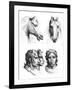 Similarities Between the Heads of a Horse and a Man-Charles Le Brun-Framed Giclee Print