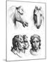 Similarities Between the Heads of a Horse and a Man-Charles Le Brun-Mounted Giclee Print