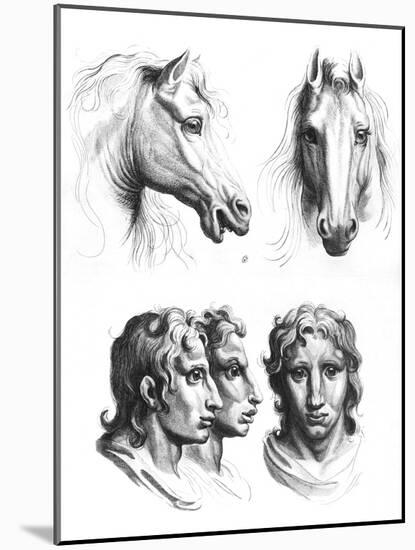 Similarities Between the Heads of a Horse and a Man-Charles Le Brun-Mounted Giclee Print
