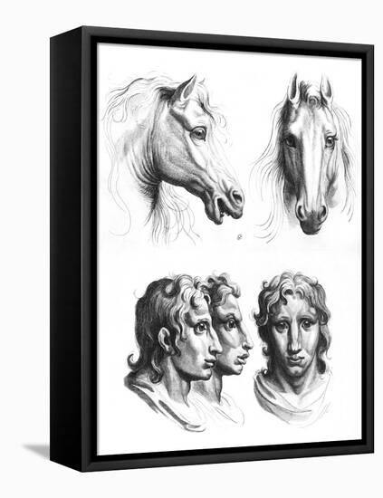 Similarities Between the Heads of a Horse and a Man-Charles Le Brun-Framed Stretched Canvas