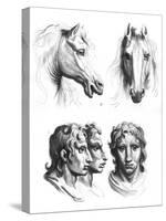 Similarities Between the Heads of a Horse and a Man-Charles Le Brun-Stretched Canvas