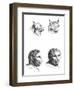 Similarities Between the Heads of a Lynx and a Man-Charles Le Brun-Framed Giclee Print