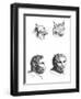 Similarities Between the Heads of a Lynx and a Man-Charles Le Brun-Framed Giclee Print