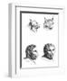 Similarities Between the Heads of a Lynx and a Man-Charles Le Brun-Framed Giclee Print