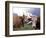 Simmental Cows, Switzerland-Lynn M^ Stone-Framed Photographic Print