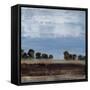 Canvas Black