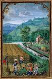 September: Harvesting, Ploughing and Sowing, from a Book of Hours, c.1540-Simon Bening-Giclee Print