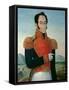 Simon Bolivar (1783-1830)-Arturo Michelena-Framed Stretched Canvas