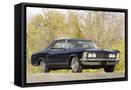 Canvas Black