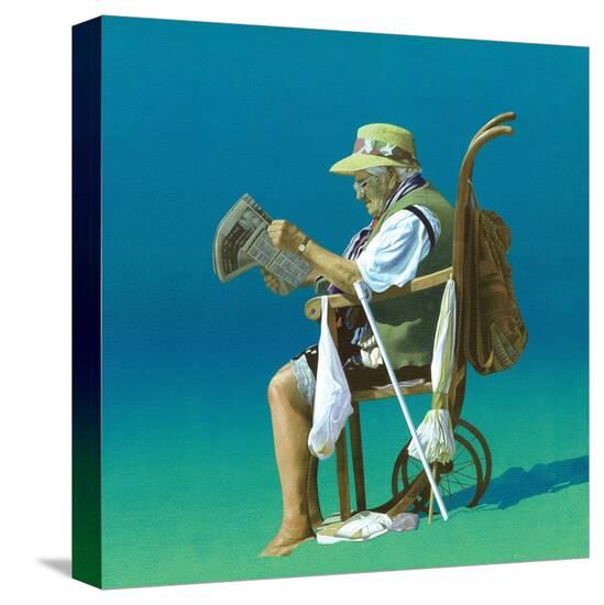 Stretched Canvas Print, , large